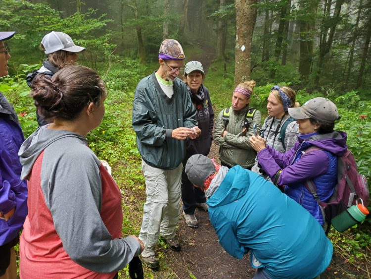Museum ornithologist John Gerwin holds a banded Hermit Thrush while the group learns how to determine the age based on the feathers and body conditions of the bird.
