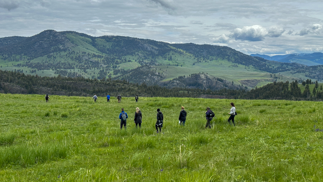 people walking through grassy hillside with mountains in the background