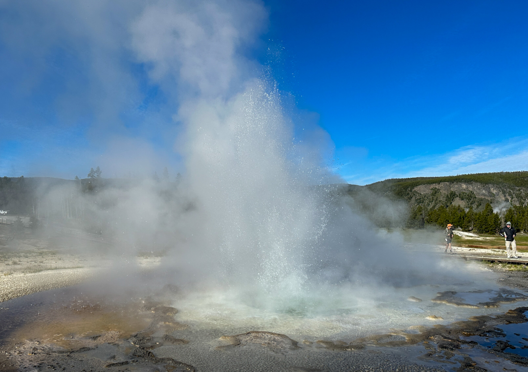 erupting geyser with spraying water and steam